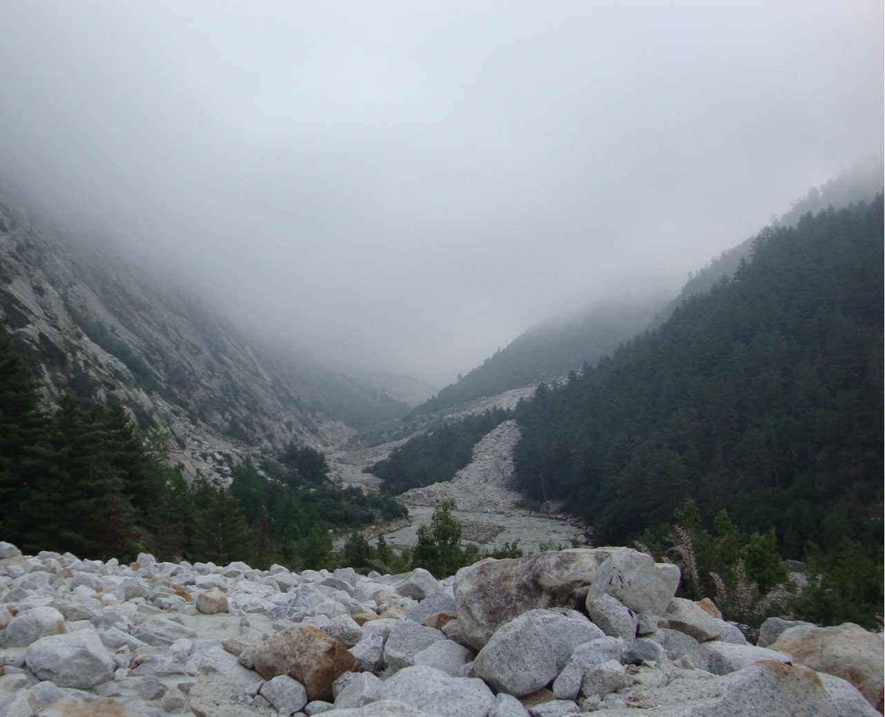 gomukh tapovan trek