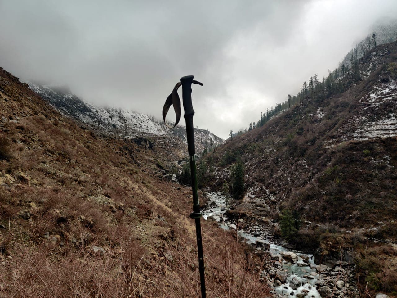 trekking pole enroute har ki dun trek