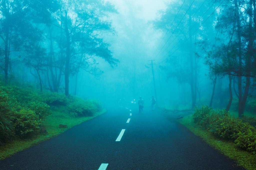 shimla road covered with fog