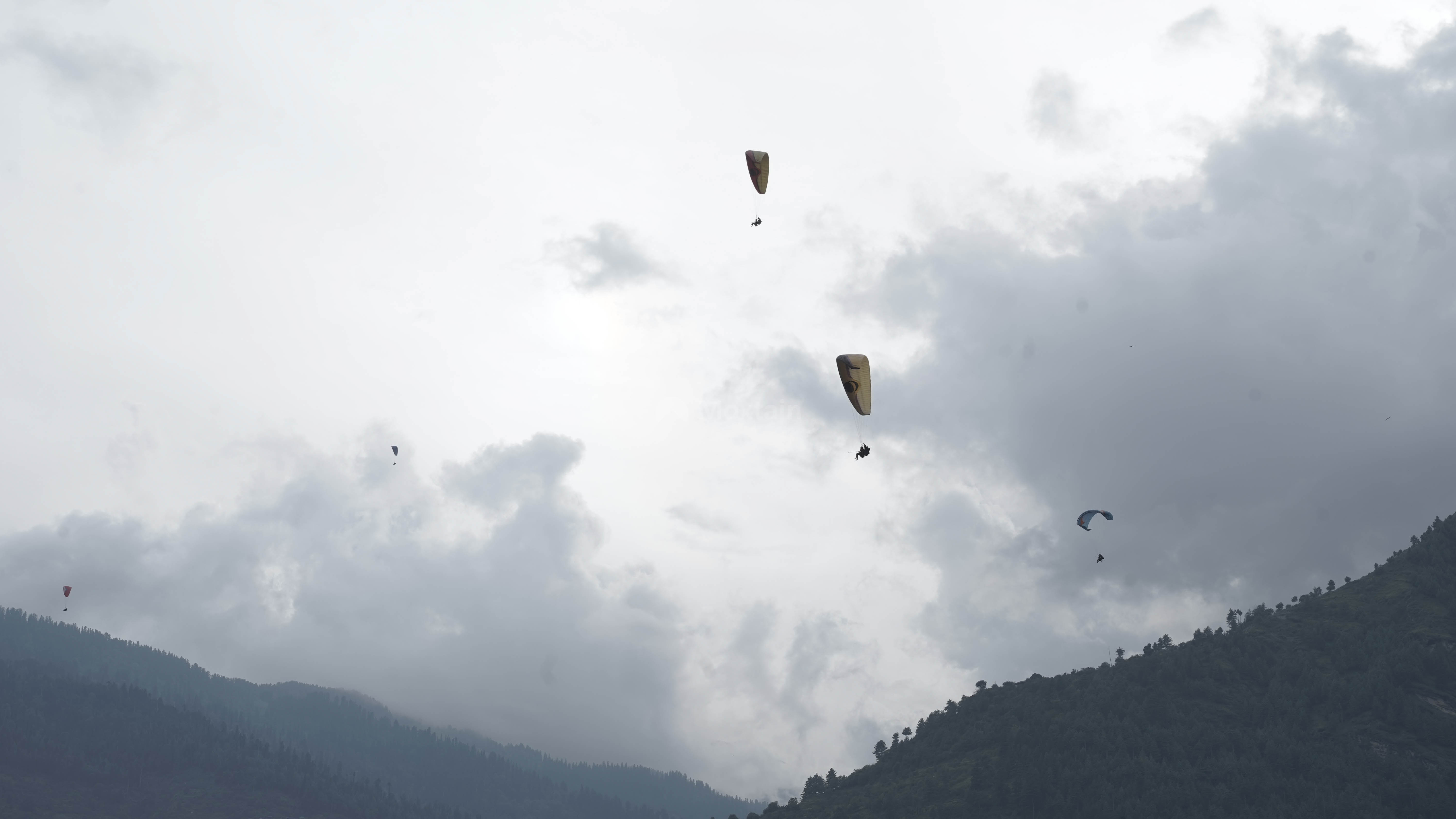 Paragliding in Manali