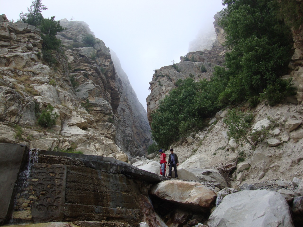 Gaumukh tapovan trek in suumers