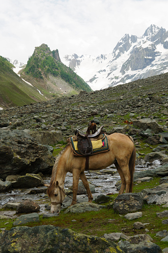 Horse riding in Kashmir Sonmarg