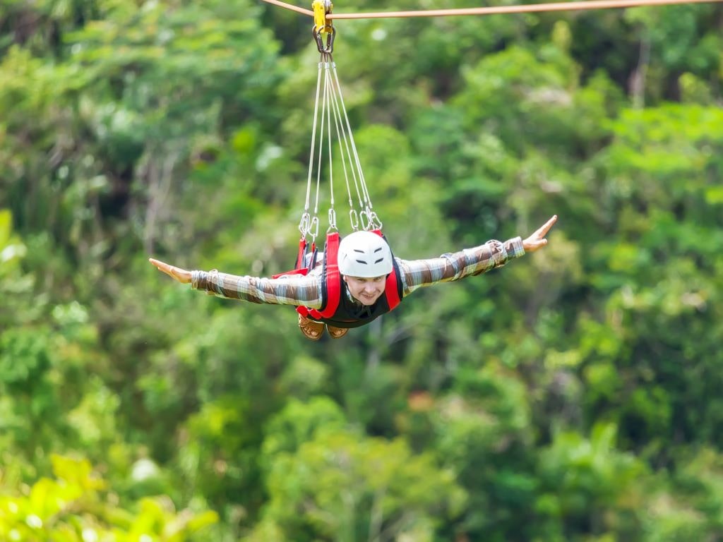 flying fox activities in rishikesh