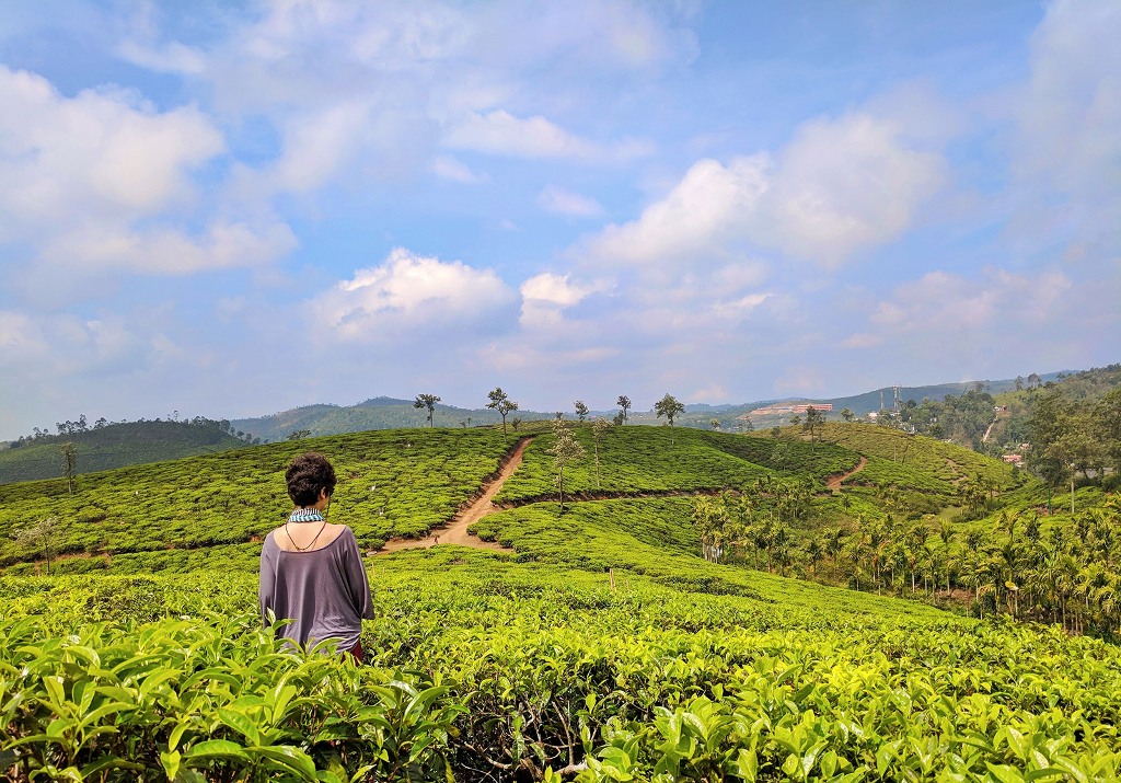 munnar adventure place in kerala