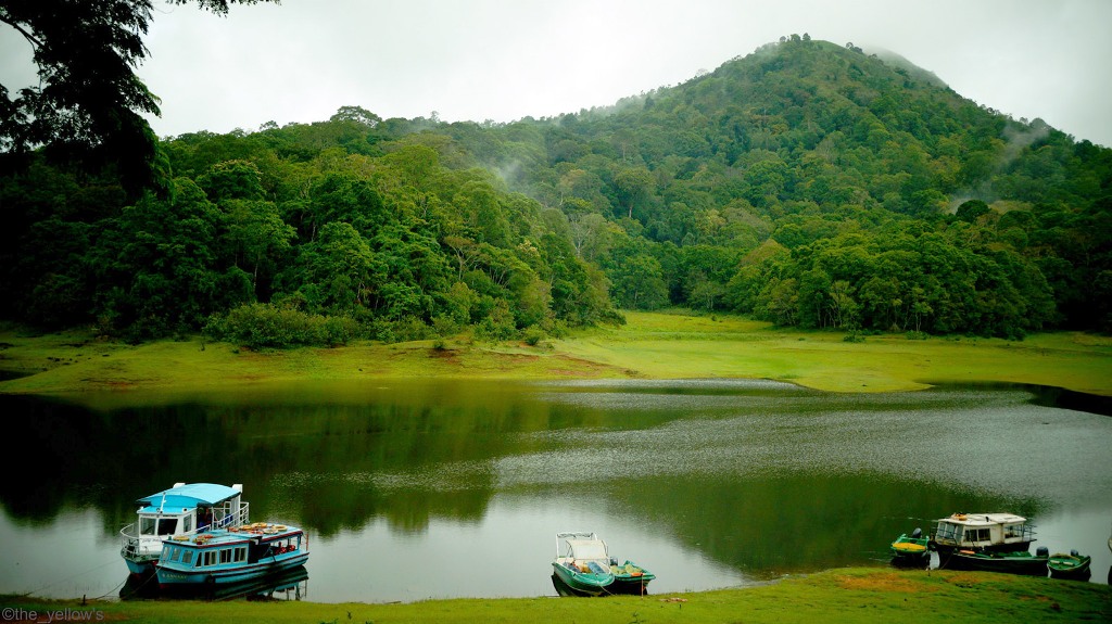 thekkady in kerala