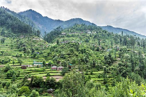 Trithan valley Himachal Pradesh