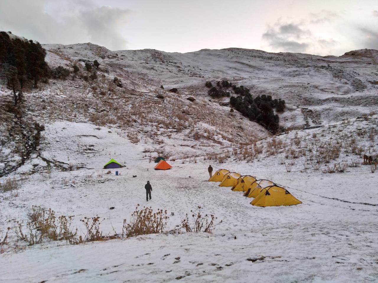 campsite at brahmatal trek