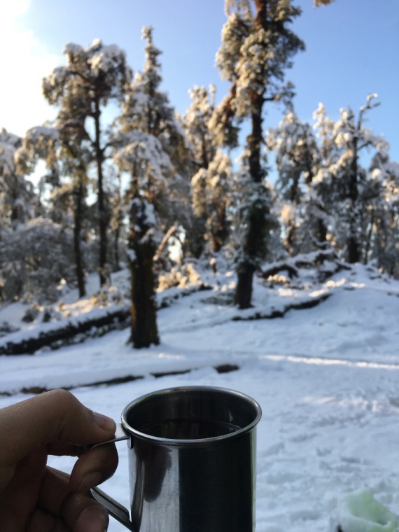 tea at brahmatal trek