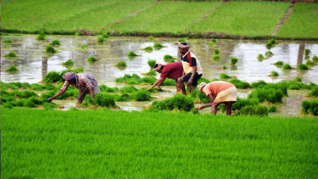 farmers working on field