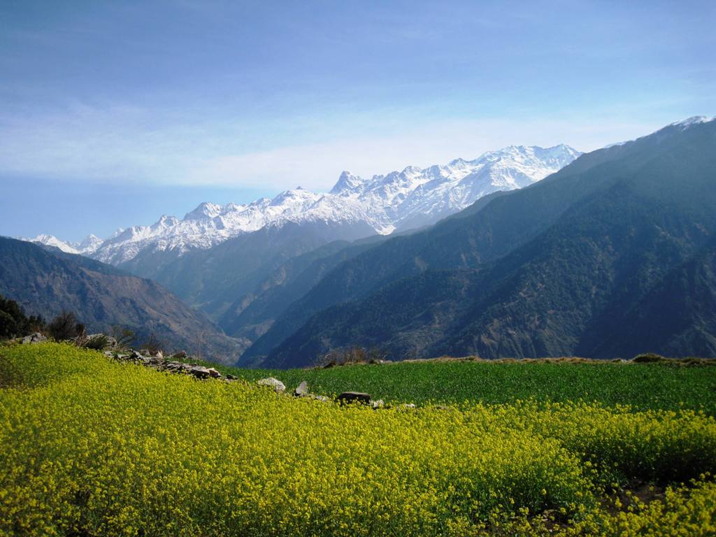 dayara bugyal trek route