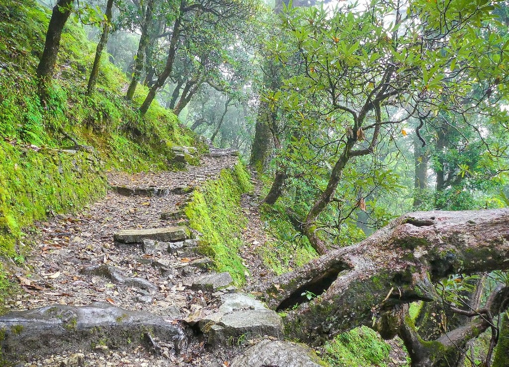 dayara bugyal trek trail