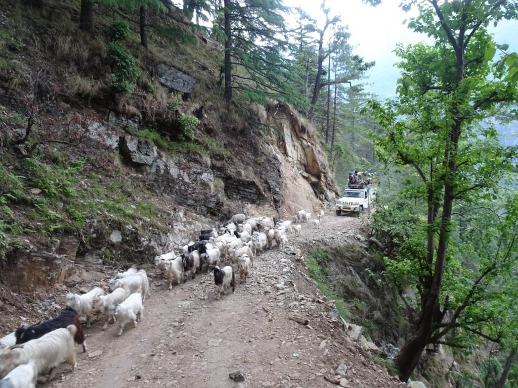 Deoban trek chakrata