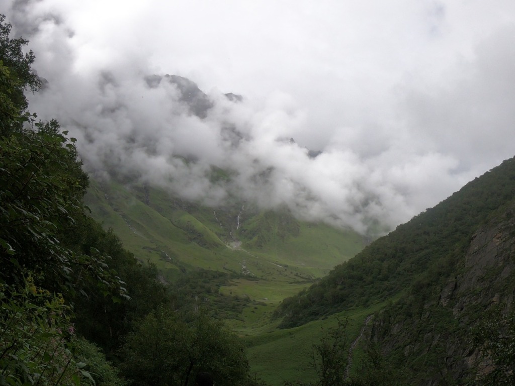 nanda devi national park