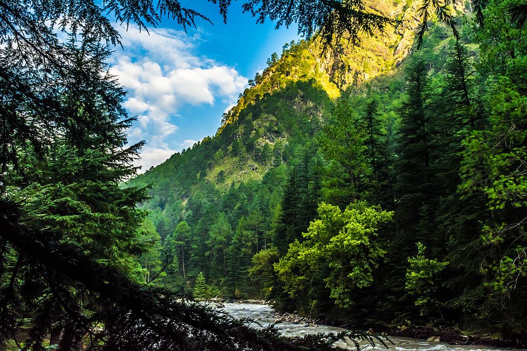 kasol