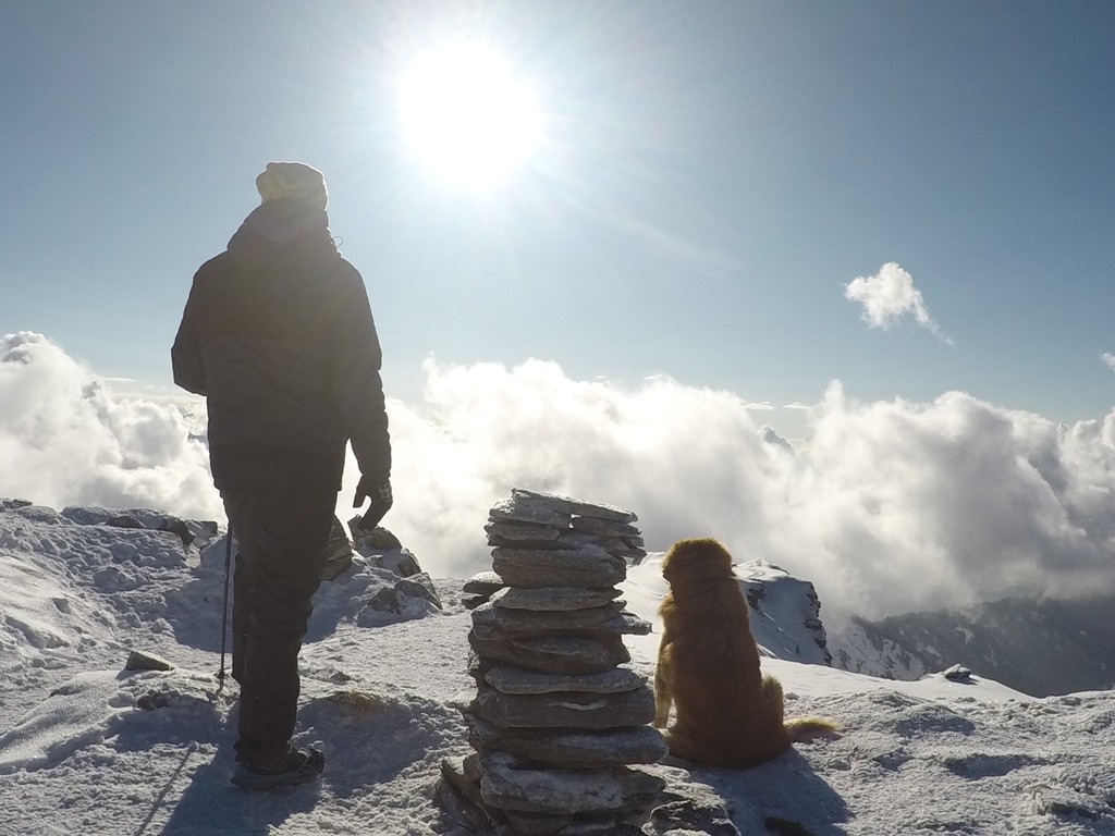 dog and trekker standing at summit