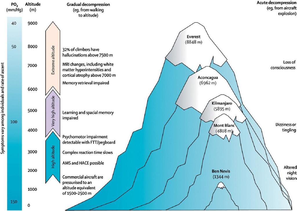 effect of altitude change on body