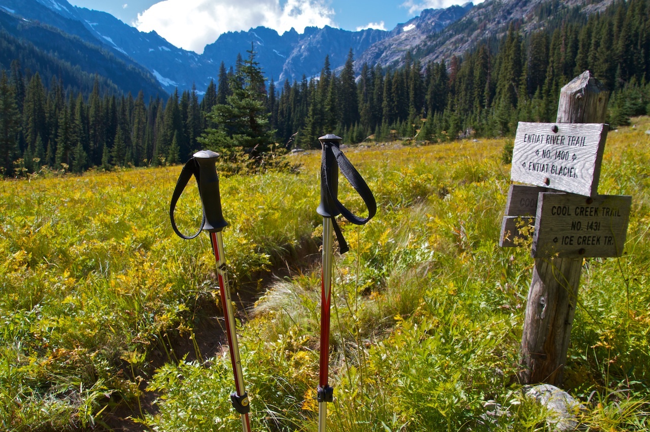 Pair of trekking stick bury in the land with green grass around and forest of pine trees and mountain covered with snow at a distant