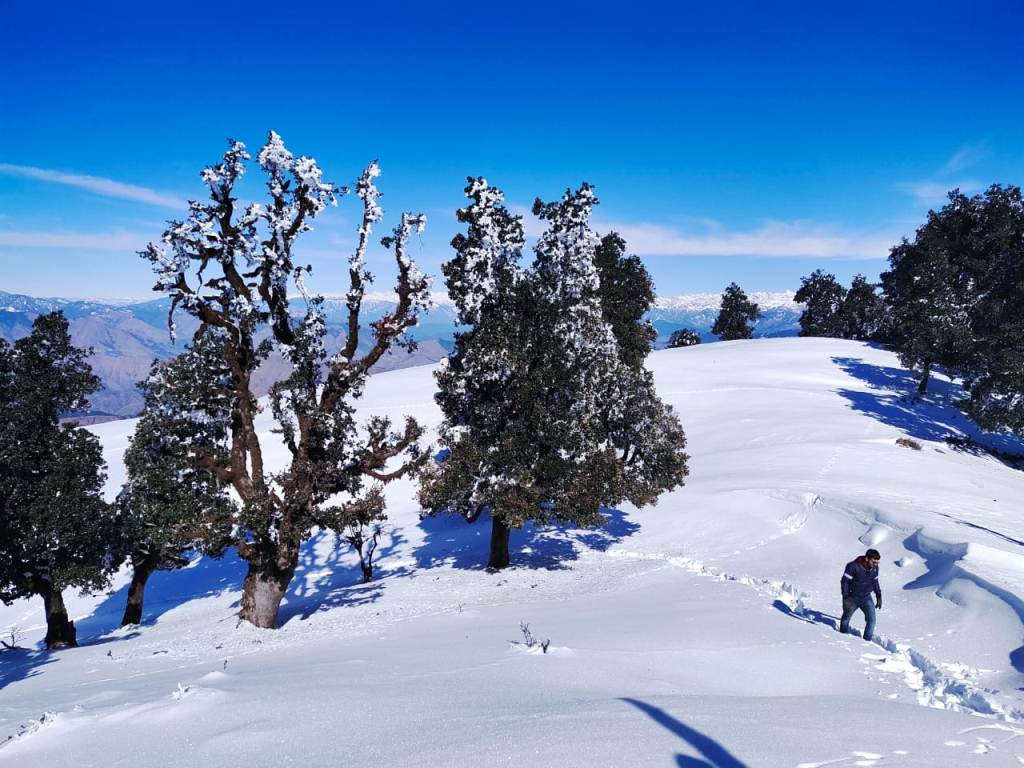 nag tibba trek route covered with snow in december