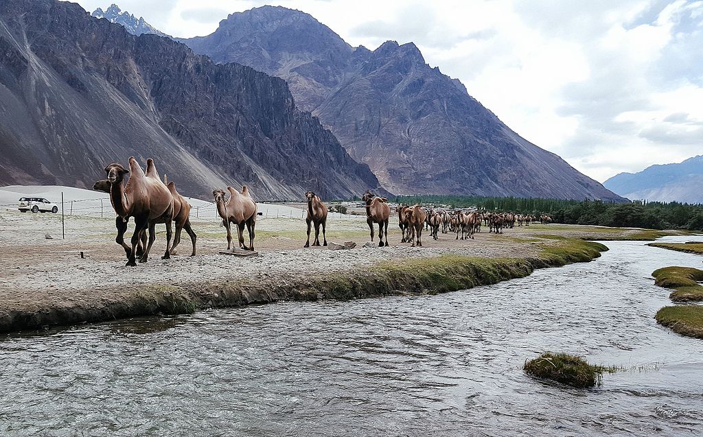 Nubra Valley is one of the Greenest valleys in Leh, Ladakh, India Stock  Photo