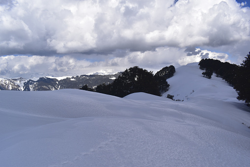 Jalori pass in winters, Himachal Pradesh
