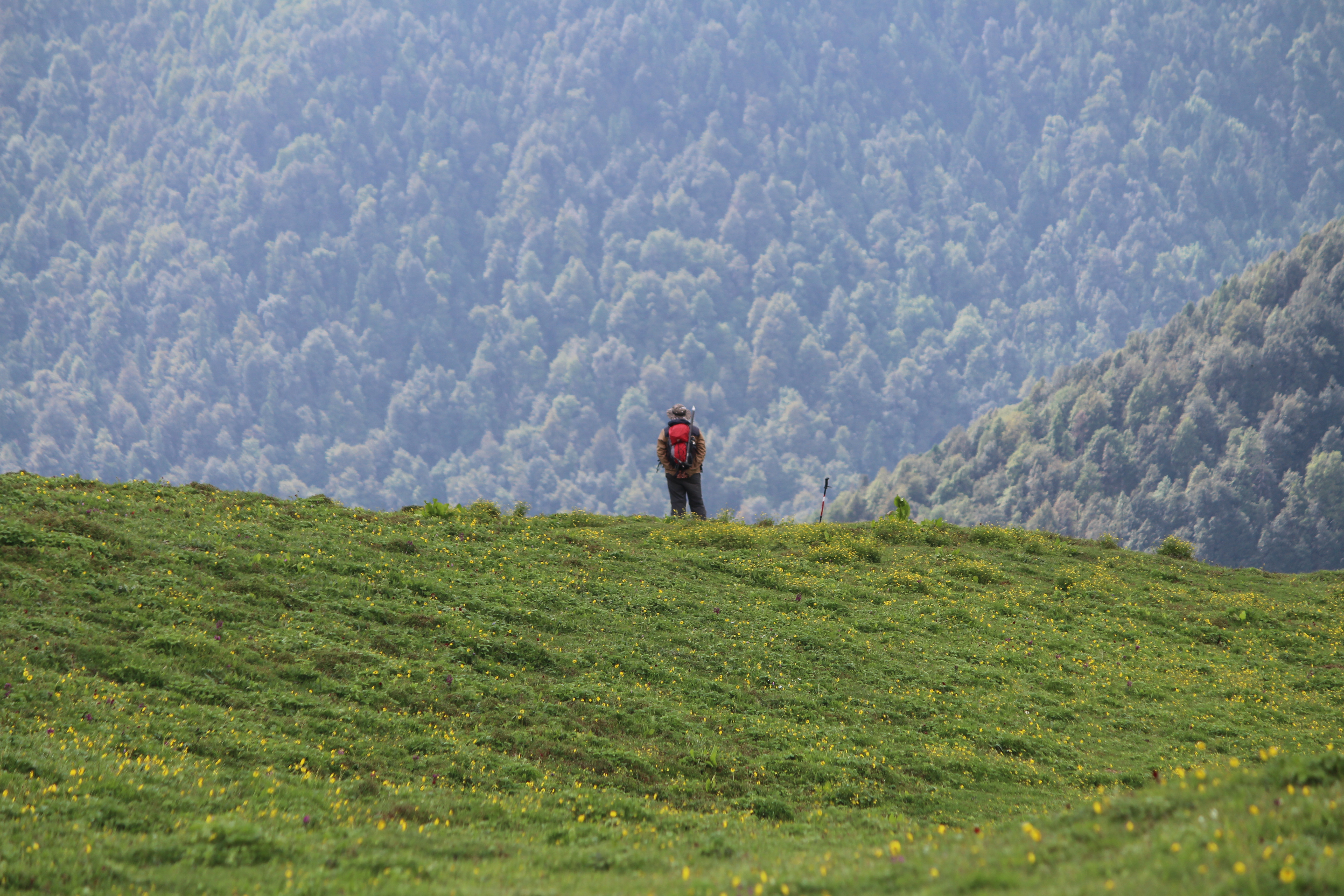 Man carrying a bagpack standing over a green valley lokking over the beauty of nature