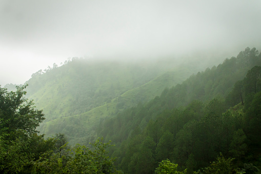 Mountains visible from forest in monsson in shimla