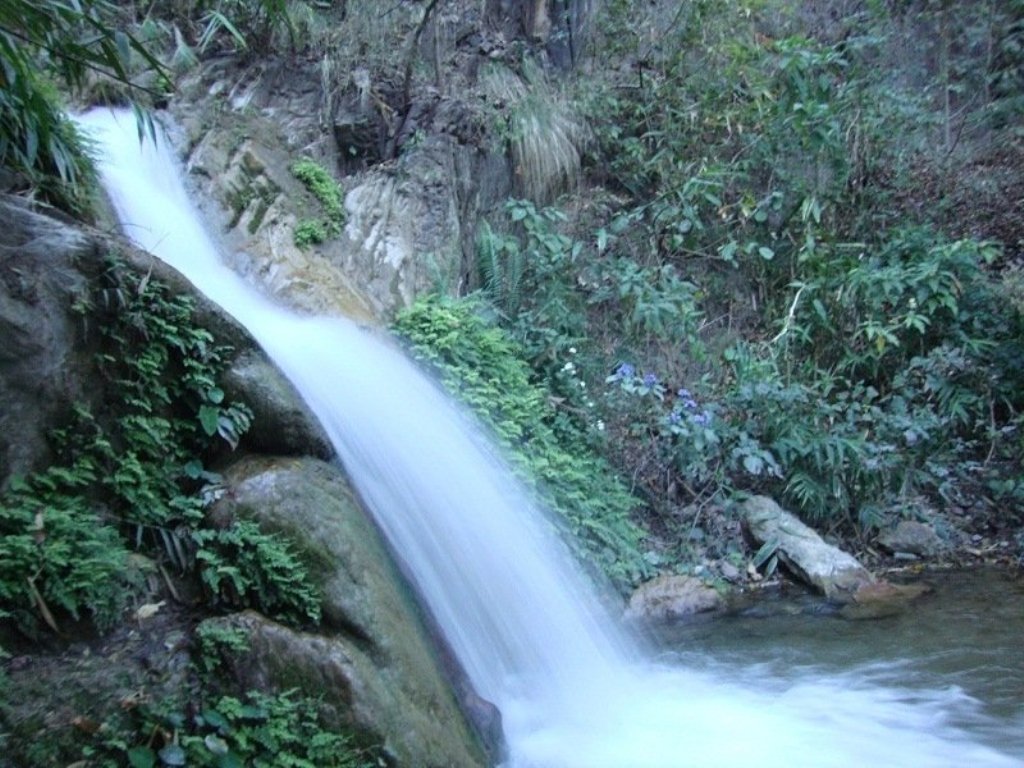 binsar trek