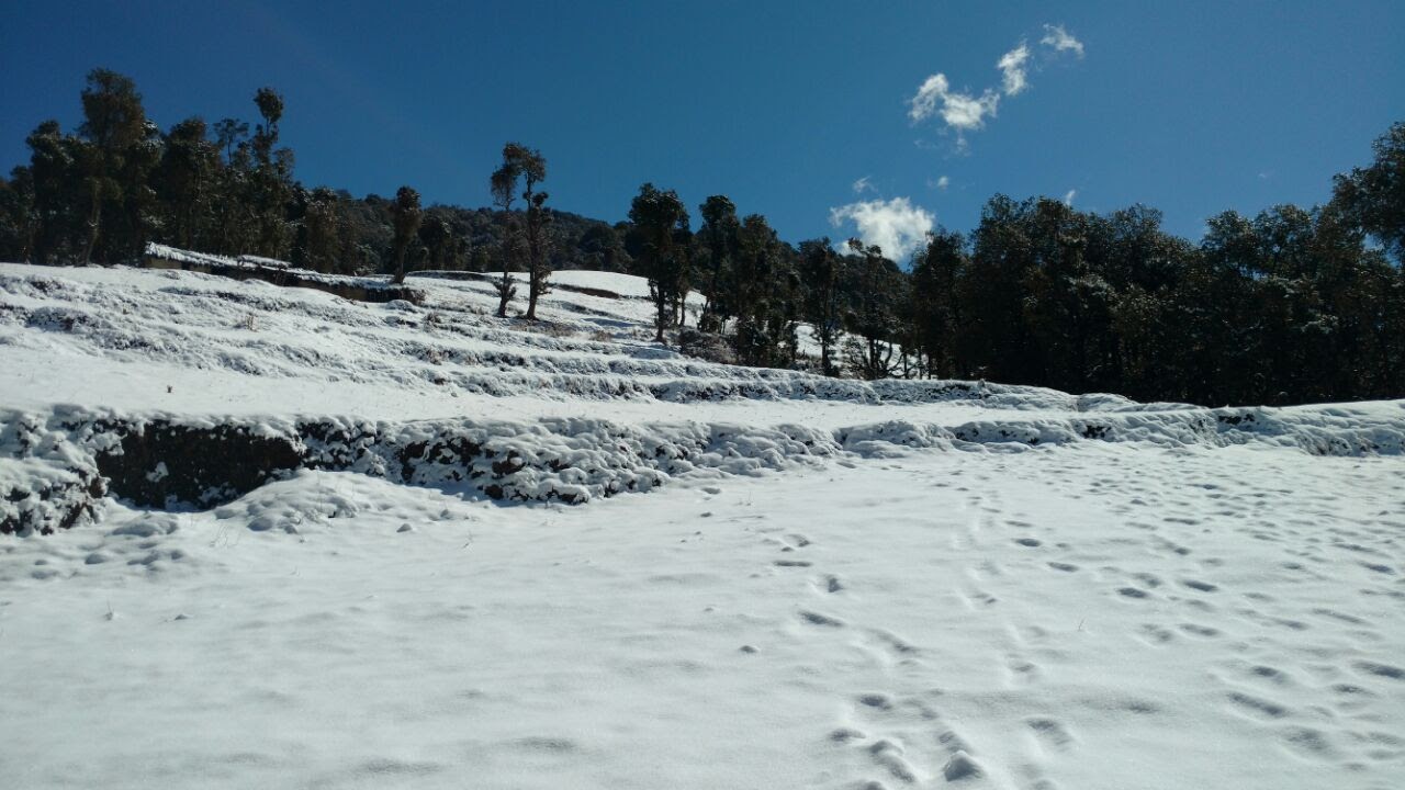  footstep on the snow covered ground uphill and the starting of green forest with clear blue sky over head