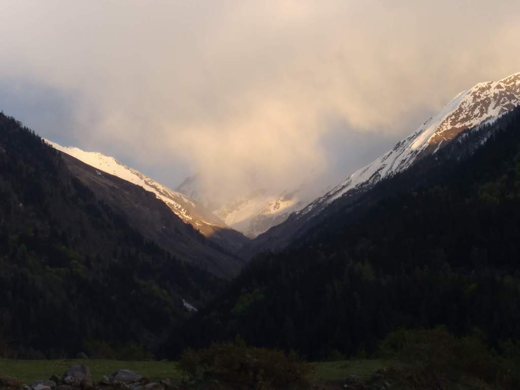 view from kalkatidhar campsite