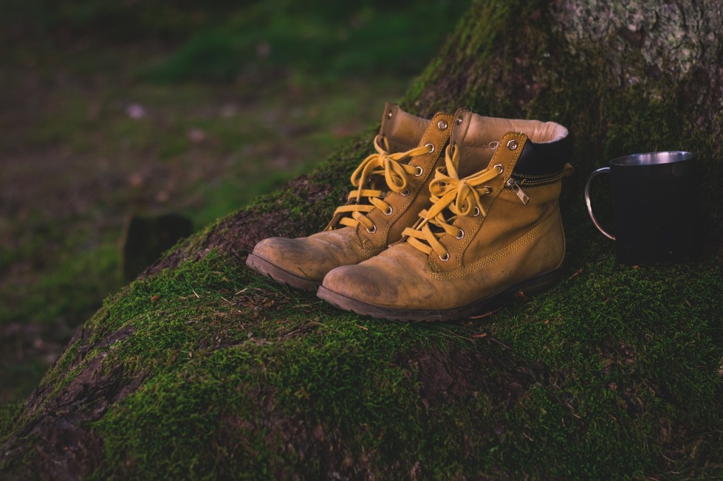 trekking shoes