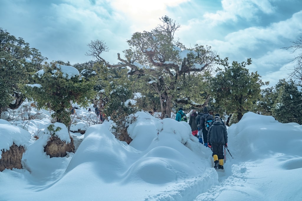 trekking in uttarakhand