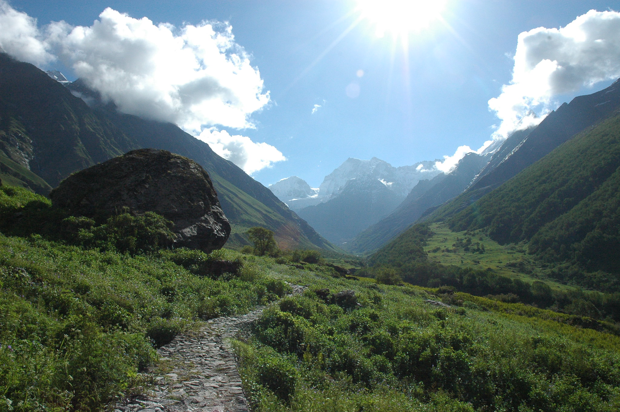 Sun shines through the cloud on a single trail going through the valley of flower with both side covered with green grass with snow covered mountain in distant place
