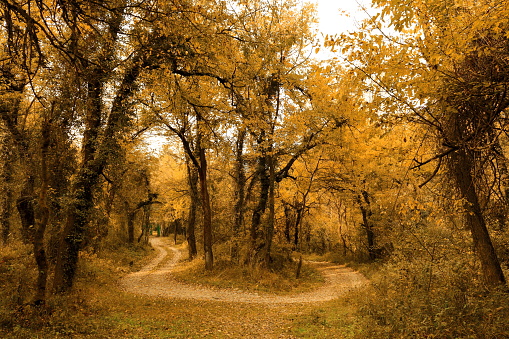 Dachigam National Park Kashmir