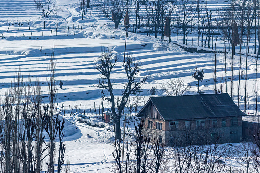 Kashmir in winters